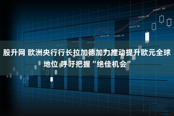 股升网 欧洲央行行长拉加德加力推动提升欧元全球地位 呼吁把握“绝佳机会”