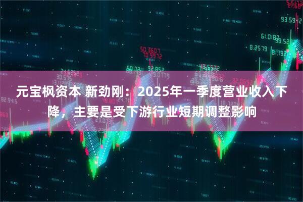 元宝枫资本 新劲刚：2025年一季度营业收入下降，主要是受下游行业短期调整影响