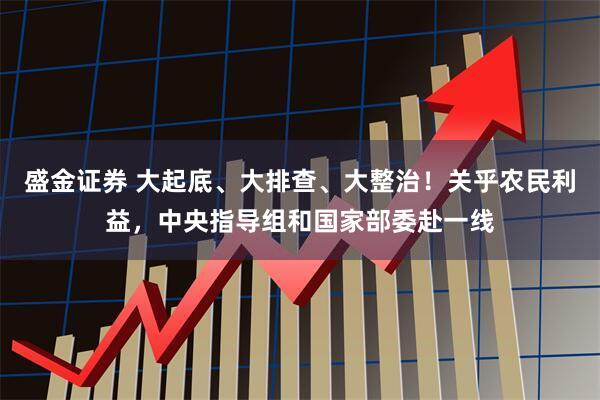 盛金证券 大起底、大排查、大整治！关乎农民利益，中央指导组和国家部委赴一线