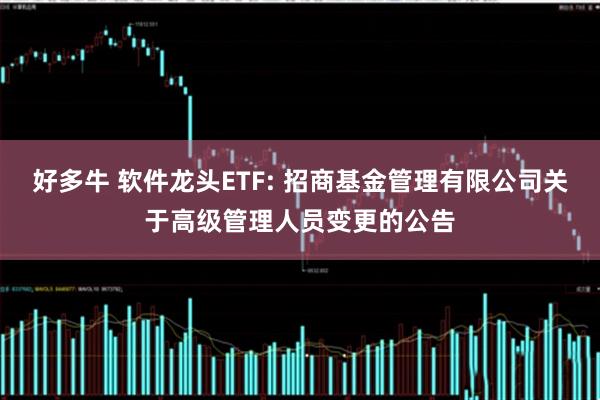 好多牛 软件龙头ETF: 招商基金管理有限公司关于高级管理人员变更的公告