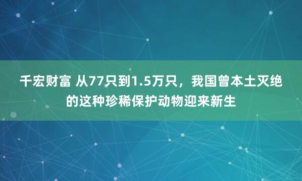 千宏财富 从77只到1.5万只，我国曾本土灭绝的这种珍稀保护动物迎来新生