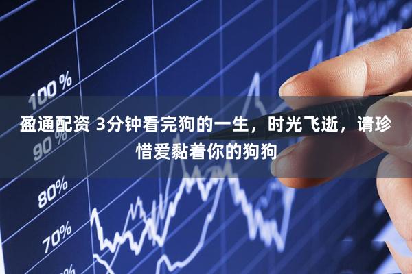 盈通配资 3分钟看完狗的一生，时光飞逝，请珍惜爱黏着你的狗狗