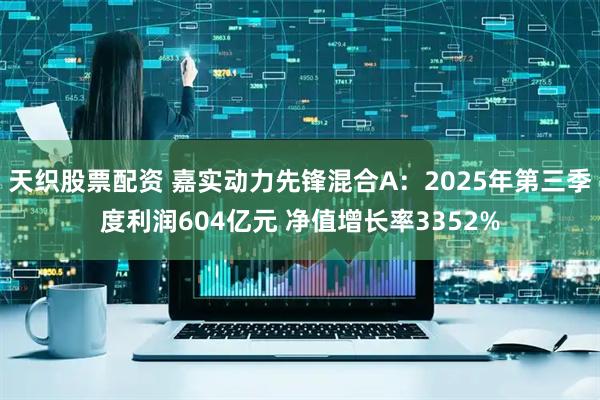 天织股票配资 嘉实动力先锋混合A：2025年第三季度利润604亿元 净值增长率3352%