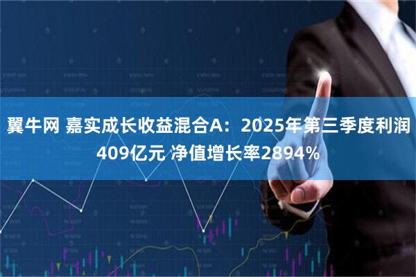 翼牛网 嘉实成长收益混合A：2025年第三季度利润409亿元 净值增长率2894%