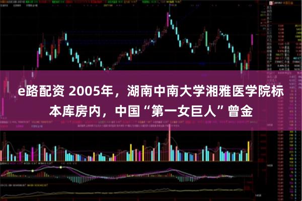 e路配资 2005年,湖南中南大学湘雅医学院标本库房内,中国“第一女巨人”曾金